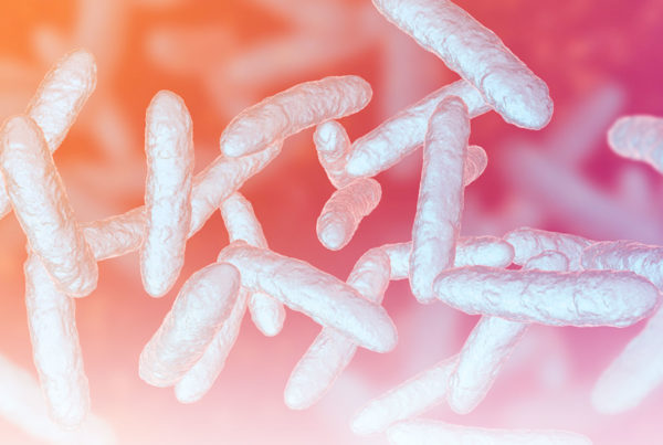 Infecções e Câncer