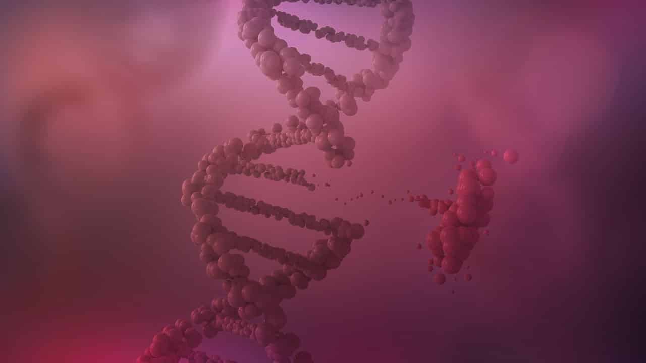 Live CMB > Genomic assays in the neoadjuvant setting.