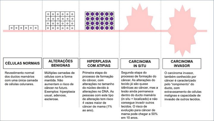 Processo de formação do câncer de forma esquemática