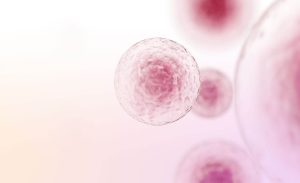 Resultados favoráveis da imunoterapia ampliam as opções terapêuticas contra o câncer de mama triplo negativo.